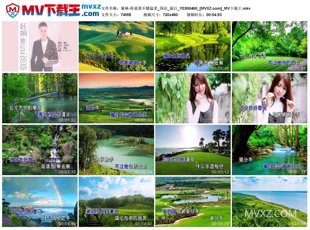暴林-你说我不懂温柔_国语_流行_YE500460